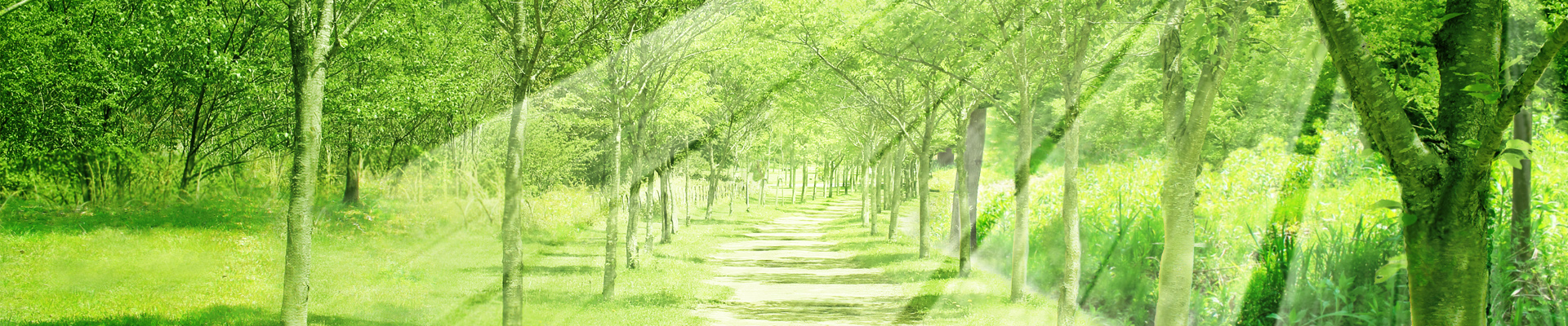 タイトル背景